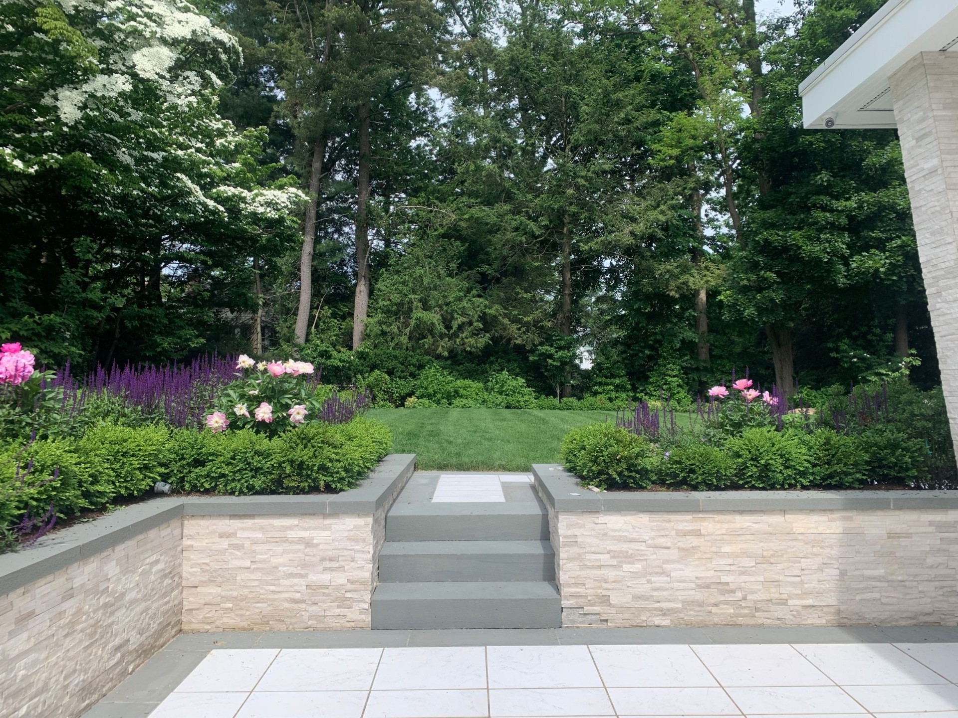 Hampton House, one summer in — patio steps framed by peonies, salvia, and boxwood