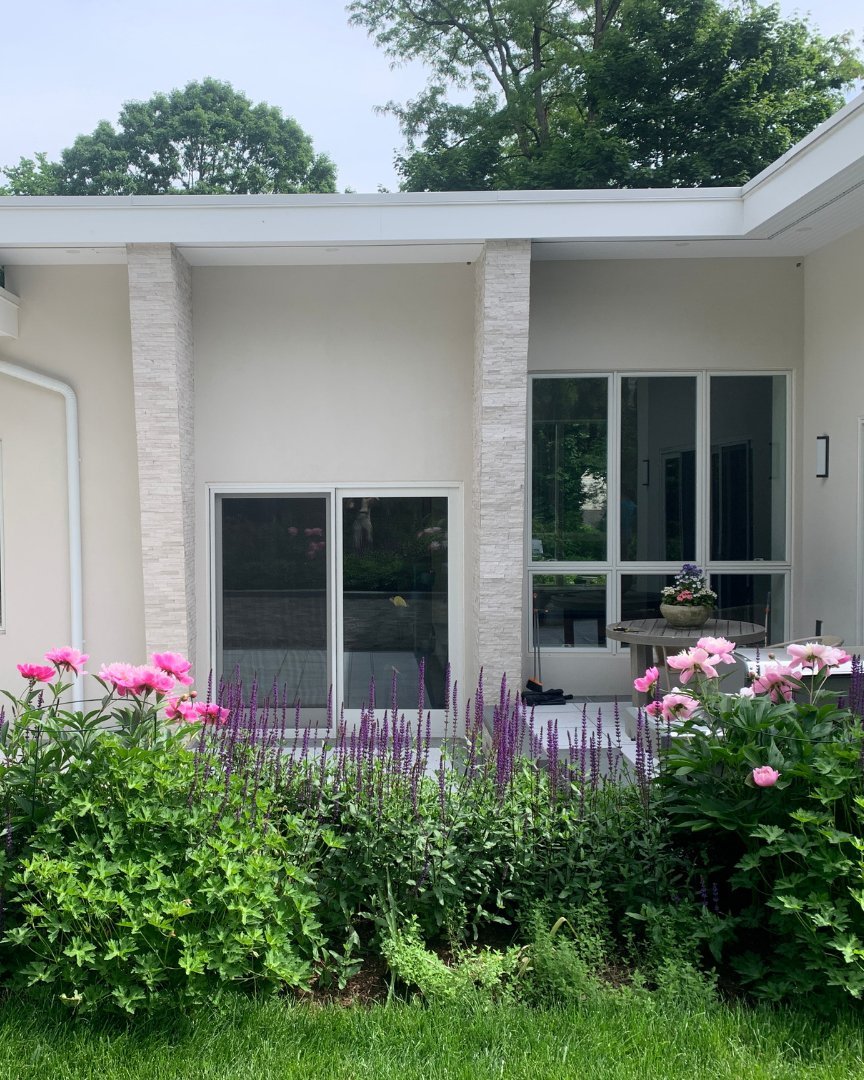 Hampton House, Scarsdale — peony and salvia border at the patio