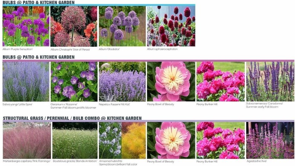 Plant palette part two — bulbs and combos at the patio & kitchen garden